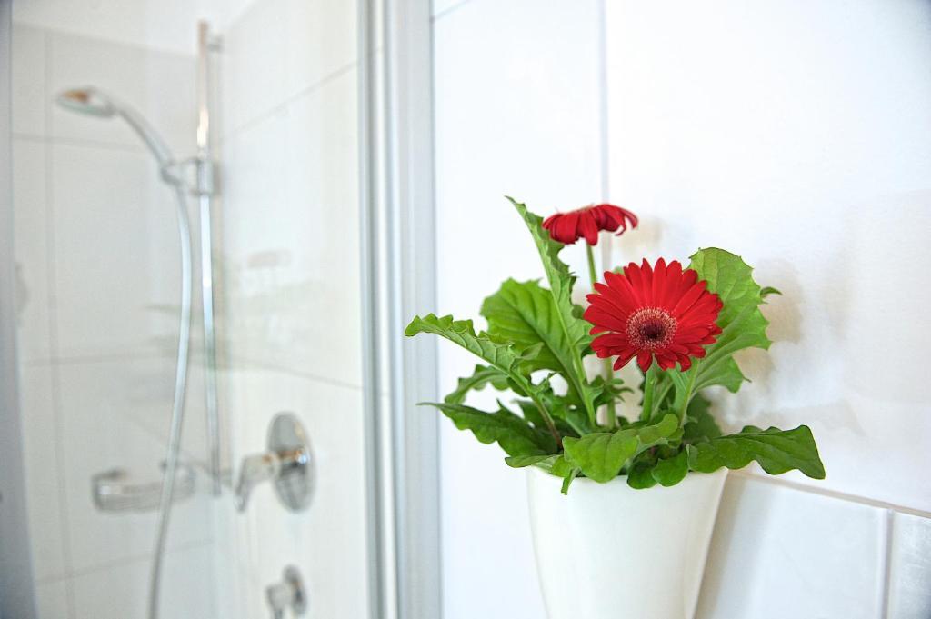 Greenhome Appartement Niedernsill Room photo